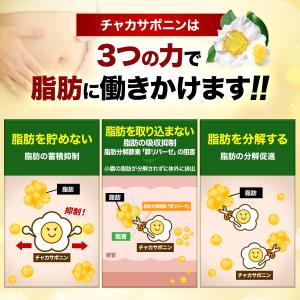 ダイエットサプリ 体重 体脂肪 中性脂肪 内臓...の詳細画像4