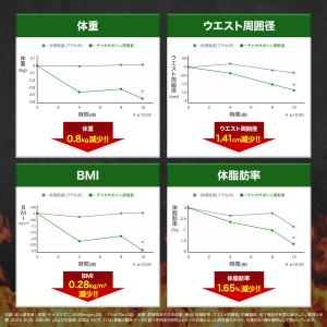 ダイエットサプリ 体重 体脂肪 中性脂肪 内臓...の詳細画像5