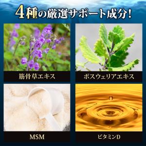ロコモヘルプS ひざ関節 サプリ プロテオグリ...の詳細画像4