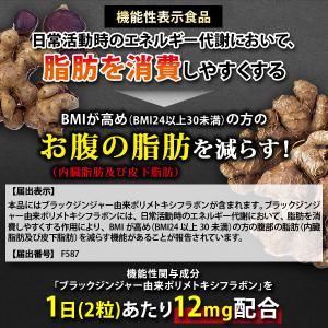 ダイエットサプリ 脂肪燃焼サプリ 内臓脂肪 皮...の詳細画像2