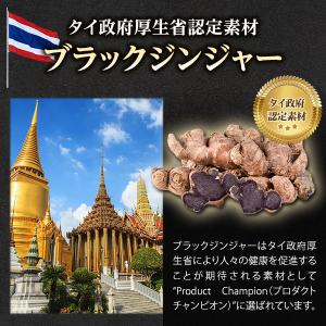 ダイエットサプリ 脂肪燃焼サプリ 内臓脂肪 皮...の詳細画像3
