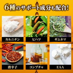 ダイエットサプリ 脂肪燃焼サプリ 内臓脂肪 皮...の詳細画像4