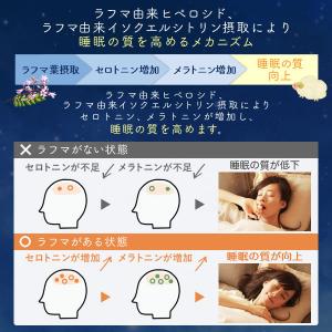 睡眠 サプリ 睡眠の質向上 ストレスや疲労感緩...の詳細画像2