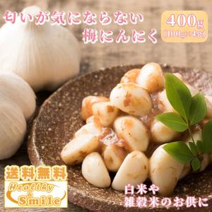 漬物 無臭 梅にんにく 400g(100g×4袋) [ 送料無料 漬け物 ニンニク うめ 梅肉 おつまみ 臭わない ] ヘルシー＆スマイル