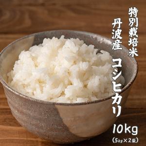 雑穀米本舗 【白米】 令和7年産 富山県産 コシヒカリ 10kg(5kg×2袋