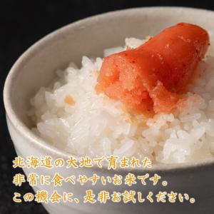 【無洗米】 令和7年産 北海道産 ななつぼし ...の詳細画像5