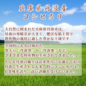 セール 【無洗米】令和7年産 丹波産 コシヒカ...の詳細画像2