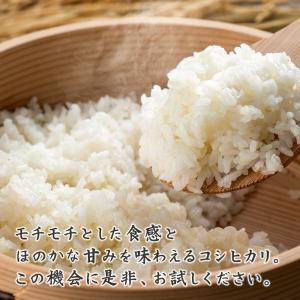 セール 【無洗米】令和7年産 丹波産 コシヒカ...の詳細画像5