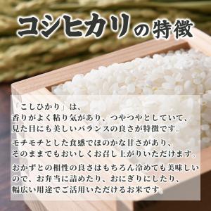 【白米】国産 匠の一粒 コシヒカリ 30kg(...の詳細画像3