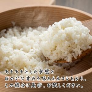 【白米】国産 匠の一粒 コシヒカリ 30kg(...の詳細画像5