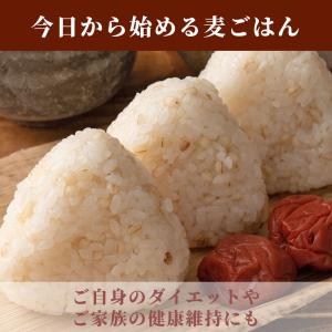 国産 丸麦 400g 大麦 雑穀 雑穀米 ダイ...の詳細画像2
