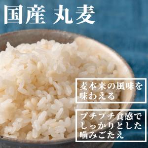 国産 丸麦 800g(400g×2袋) 大麦 ...の詳細画像1