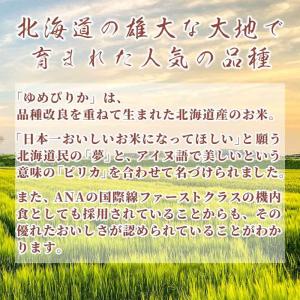 【無洗米】 令和7年産 北海道産 ゆめぴりか ...の詳細画像2