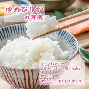 【無洗米】 令和7年産 北海道産 ゆめぴりか ...の詳細画像3