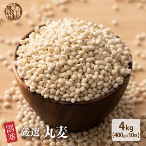 コシヒカリ 滋賀県 令和7年度産 近江米 10kg 米 白米 農薬不使用 お