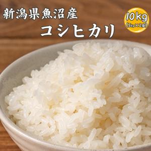 セール 【白米】 令和7年産 三重県産 コシヒカリ 20kg(5kg×4袋) 国産