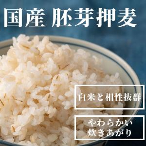 国産 胚芽押麦 8kg(400g×20袋) 大...の詳細画像1