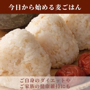 国産 胚芽押麦 8kg(400g×20袋) 大...の詳細画像2