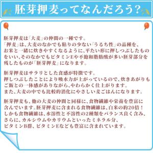 国産 胚芽押麦 8kg(400g×20袋) 大...の詳細画像4