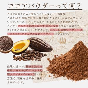 ナチュラルココアパウダー 500g 送料無料 ...の詳細画像2