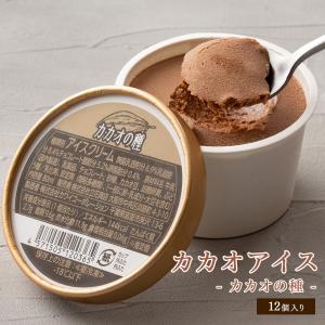 カップアイス カカオの種 80ml×6個入 送料無料 スイーツ アイス