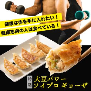 【60個入り】 大豆パワー ソイプロギョーザ ...の詳細画像1