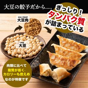 【90個入り】 大豆パワー ソイプロギョーザ ...の詳細画像2