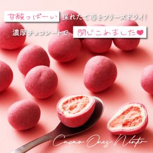 贅沢まるごと苺 300g 送料無料 チョコレー...の詳細画像1