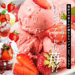 贅沢まるごと苺 300g 送料無料 チョコレー...の詳細画像3