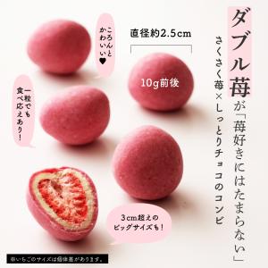 贅沢まるごと苺 300g 送料無料 チョコレー...の詳細画像4