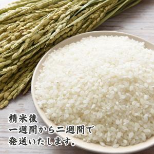 【白米】国産 匠の一粒 5kg ブレンド米 国...の詳細画像3
