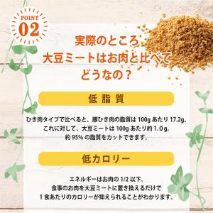 セール 国産 大豆ミート (ミンチ) 500g...の詳細画像4