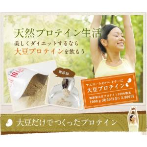 大豆プロテイン ソイプロテイン 1kg 無添加...の詳細画像1