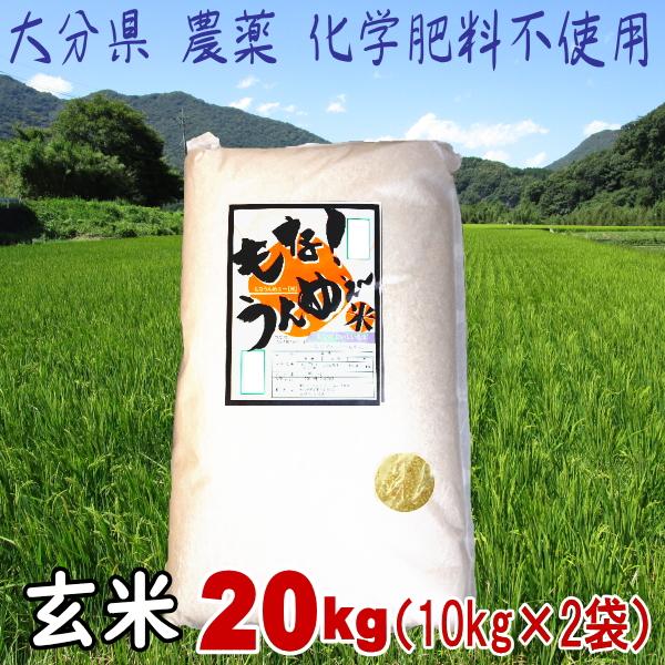 大分県「農薬　化学肥料不使用　玄米20ｋｇ（10ｋｇ×2本）」　送料無料（本州　四国　九州）　直送品...