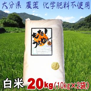 大分県産　「農薬　化学肥料不使用　白米20ｋｇ（10ｋｇ×2本）　受注後に精米します」　送料無料　直送品　｜healthyikeda