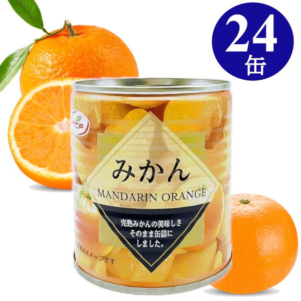 みかん缶詰 マンダリンオレンジ 312g×24缶 5号 1ケース 業務用 プルトップ缶 まとめ買い ...