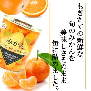 訳あり みかん缶詰 マンダリンオレンジ 312...の詳細画像1