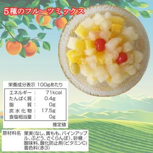 フルーツミックス 缶詰 312g×24缶 5種...の詳細画像2