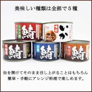 鯖缶 トマト煮 150gx24缶 さば缶 サバ...の詳細画像3