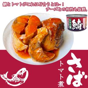 鯖缶 トマト煮 150gx24缶 さば缶 サバ...の詳細画像1