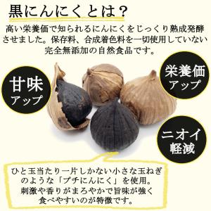 黒ニンニク 熟成 黒にんにく 40gx6袋 無...の詳細画像1