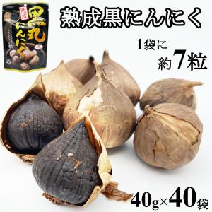 黒ニンニク 熟成 黒にんにく 40gx6袋 無添加 無着色 無香料 送料無料