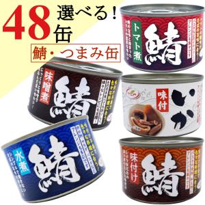 鯖缶  詰め合わせ 150gｘ48缶 （サバ 水煮 味噌煮 イカ味付） まとめ買い おつまみ 鯖 缶...