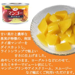 カット マンゴー 缶詰 225gx10缶 タイ...の詳細画像1