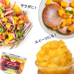 カット マンゴー 缶詰 225gx10缶 タイ...の詳細画像2