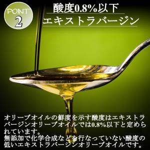 【訳あり】30%off オリーブオイル エキス...の詳細画像3