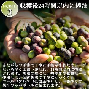 【訳あり】30%off オリーブオイル エキス...の詳細画像4