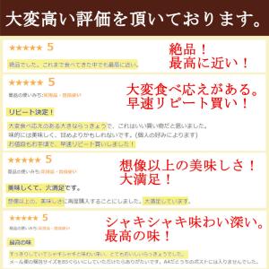 らっきょう 国産 ピリ辛 190gx2袋 鳥取...の詳細画像3