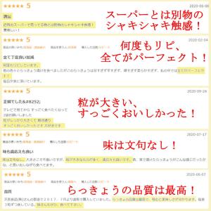 らっきょう 国産 ピリ辛 190gx2袋 鳥取...の詳細画像4
