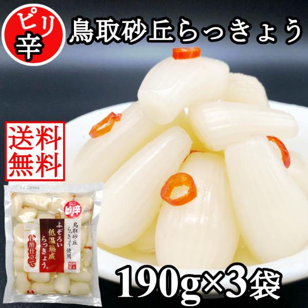 らっきょう 国産 ピリ辛 190gx3袋 鳥取 ふぞろい 無添加 低温熟成 国産 ラッキョウ漬け 甘...